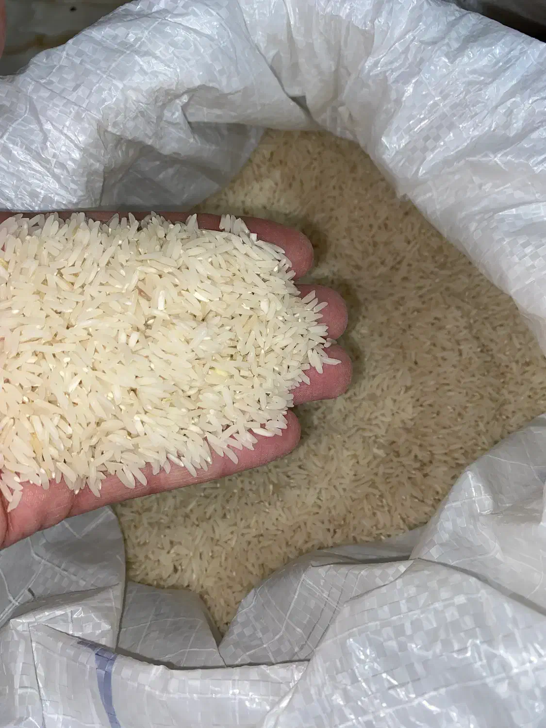 برنج هاشمی درجه ۱ اعلا|خوردنی و آشامیدنی|دالخانی, |دیوار