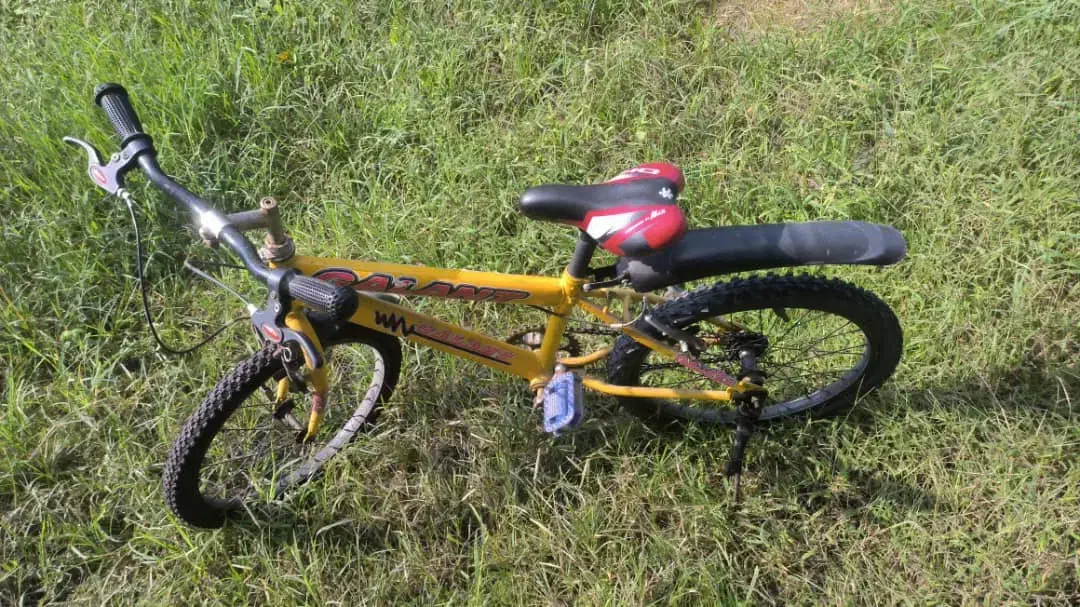 دوچرخه سالم|دوچرخه، اسکیت، اسکوتر|رشت, جانبازان|دیوار