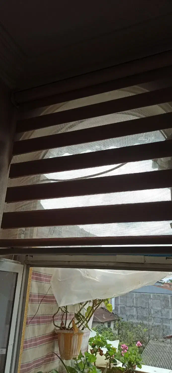 پرده زبرا|پرده، رانر، رومیزی|رشت, کوی جام جم|دیوار