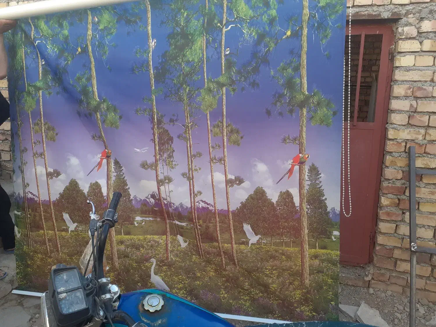 دوعددآیینه قدی ،یک رگال تمام استیل|آینه|اسفراین, |دیوار