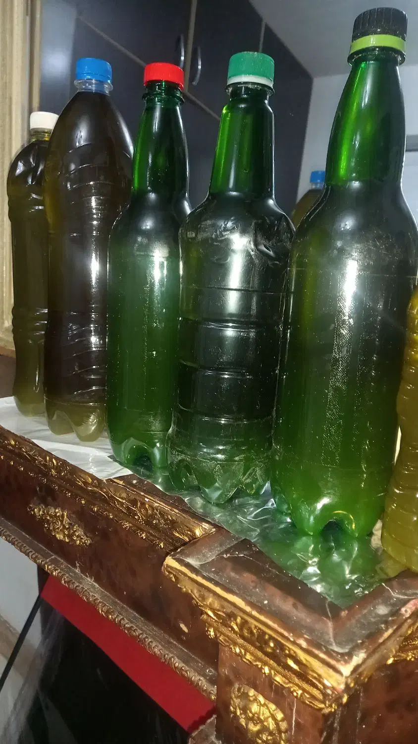 روغن زیتون اصل بشرت|خوردنی و آشامیدنی|رشت, جانبازان|دیوار