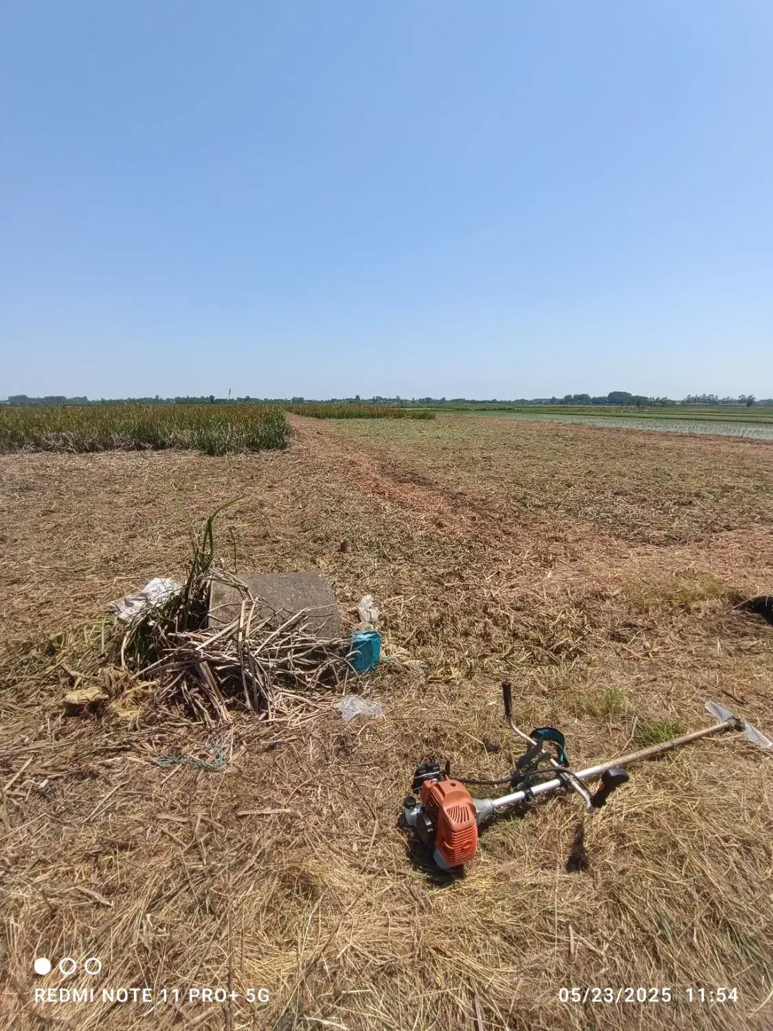 خدمات تخصصی هرس سم پاشی و چمن زنی|خدمات باغبانی و درختکاری|خمام, |دیوار