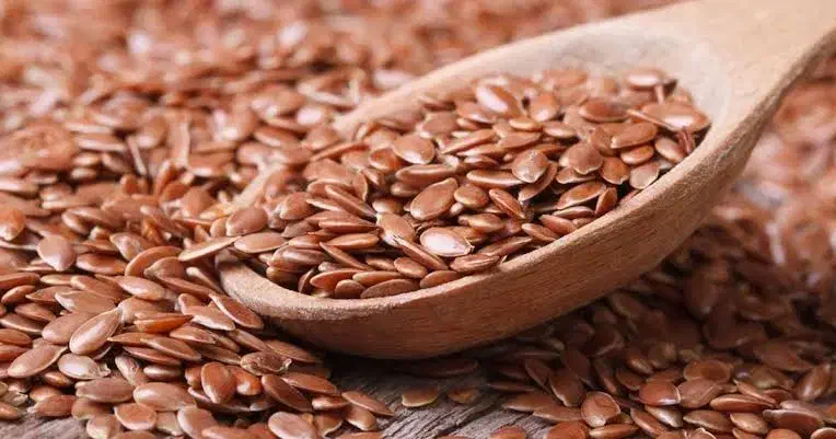 بزرک سرخ تخم کتان سرخ اردبیل|خوردنی و آشامیدنی|تهران, خزانه|دیوار