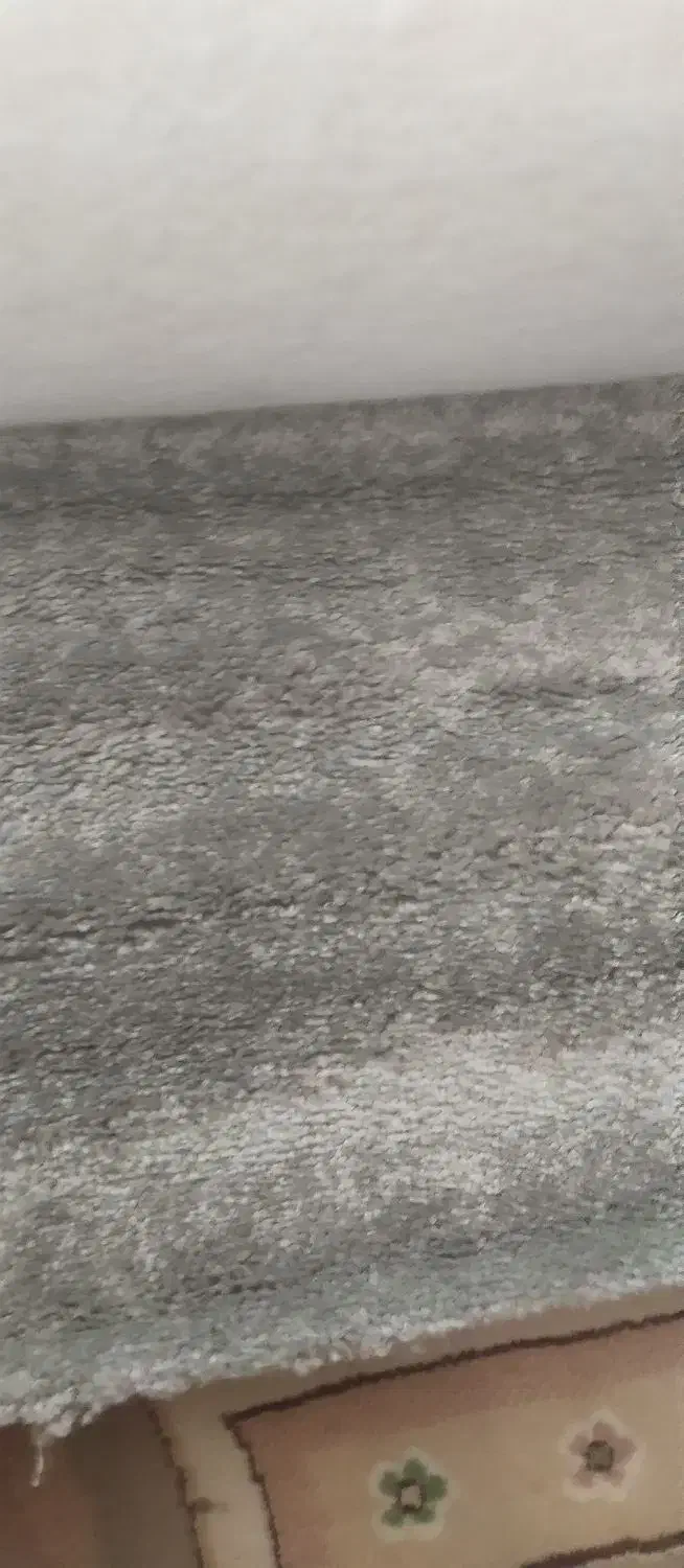 پالاز موکت و سرویس قابلمه|موکت|مسجد سلیمان, |دیوار