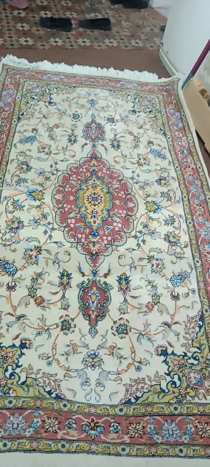 یه عدد قالیچه گل ریز|فرش|تربت‌حیدریه, مسجد جامع|دیوار