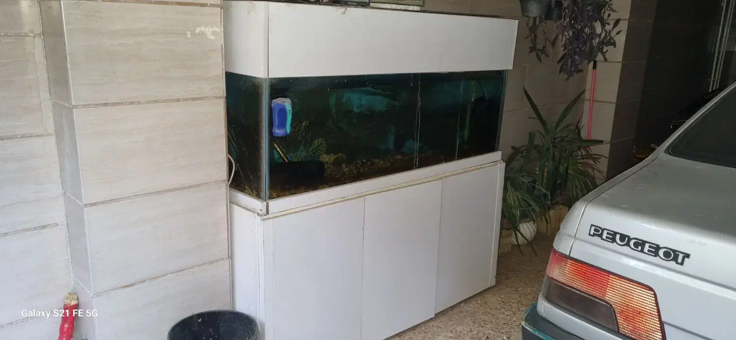 آکواریوم بزرگ|ماهی|الوند, |دیوار