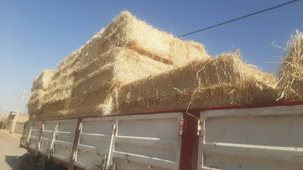 پرس کاه گندم بزرگ|حیوانات مزرعه|ورزنه, |دیوار