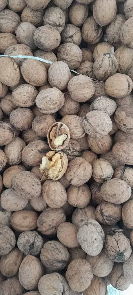 گردو|خوردنی و آشامیدنی|ماکو, |دیوار