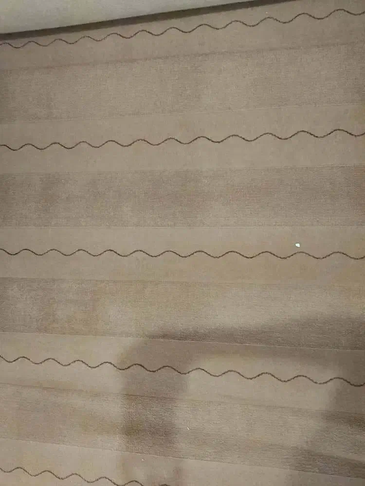 موکت در حد نو|موکت|بندر انزلی, نیمه شعبان|دیوار