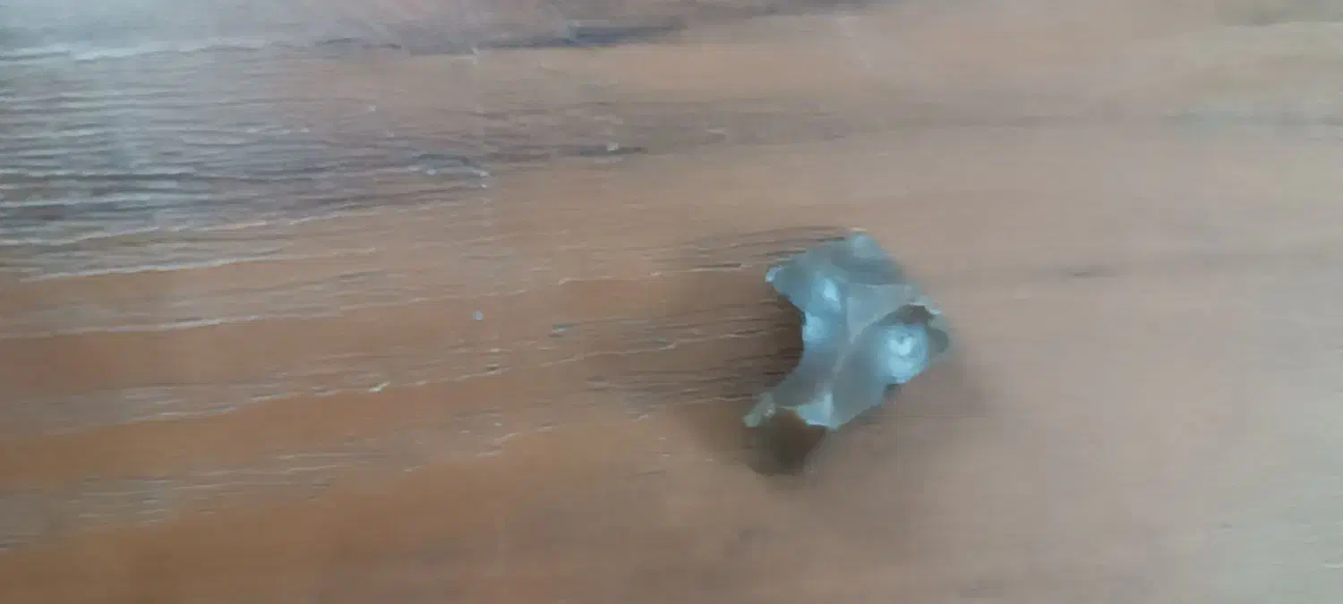 راهنمایی کنید|جواهرات|یزد, |دیوار