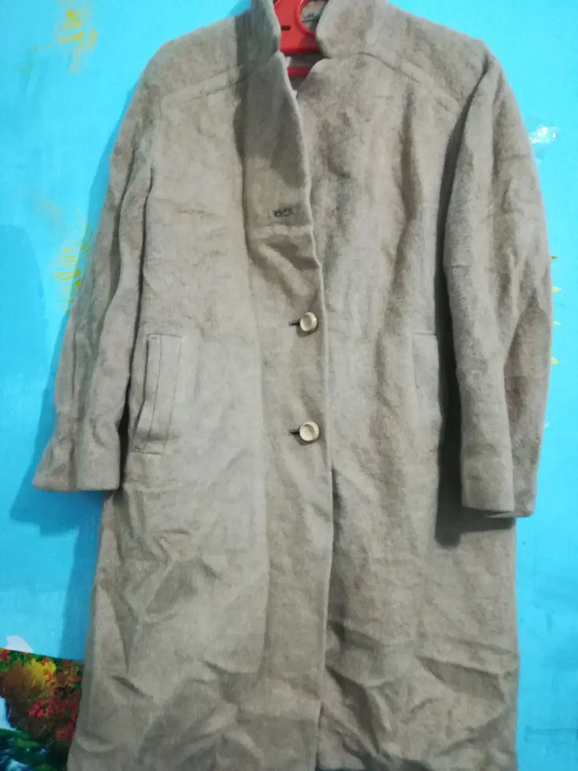 پالتو پشمی|لباس|شیراز, مسلم|دیوار