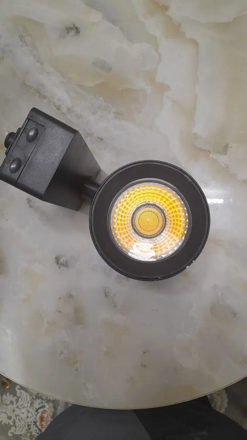 ۲عددچراغ ریلی ریلایت ۳۰وات رنگ نور سفید و عنبه ای|لامپ و چراغ|قرچک, مهدیه|دیوار