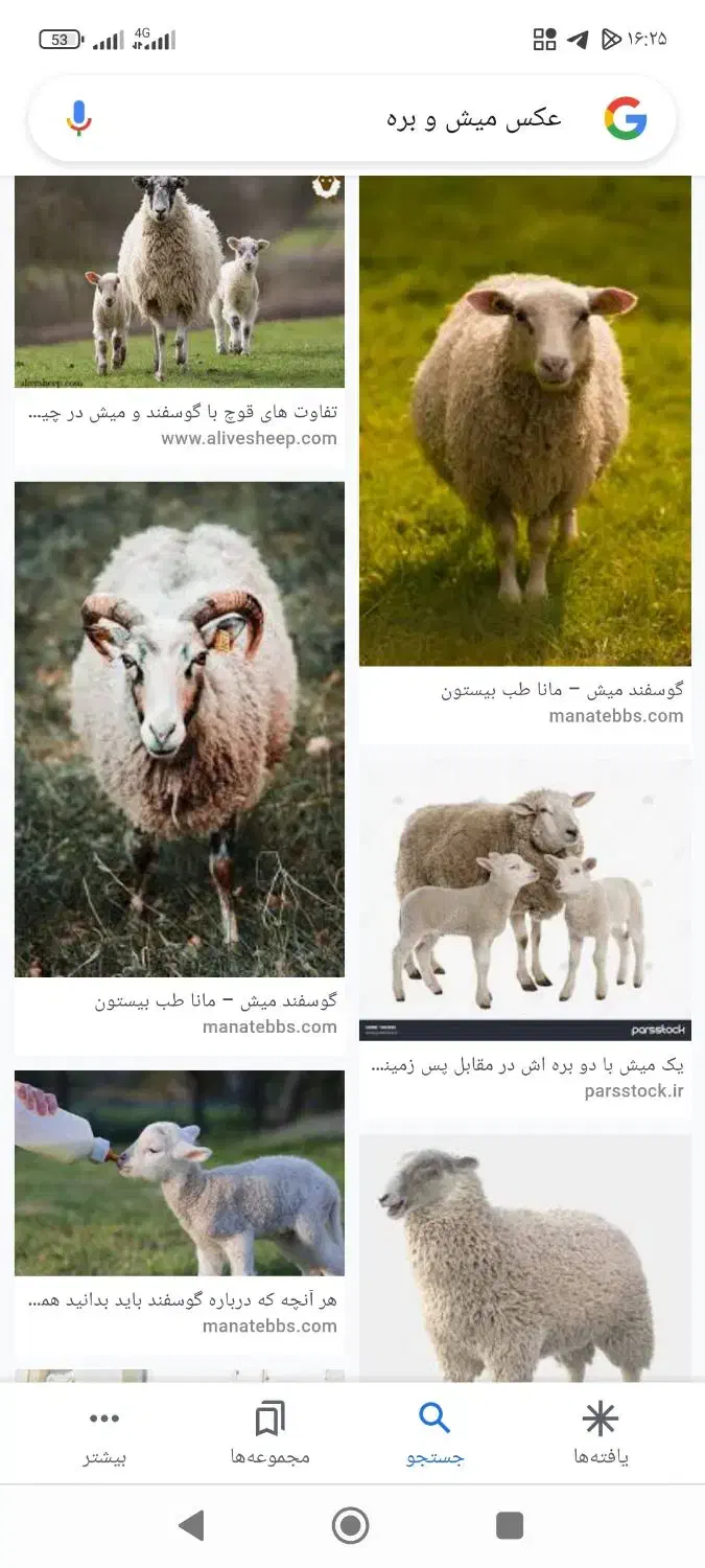 هورو کردن گوسفند میش و بره.بز و بزغاله|خدمات پیشه و مهارت|خزل, |دیوار