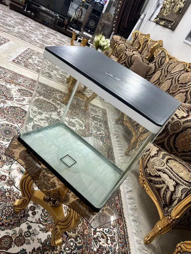 آکواریوم دلسا شرکتی|ماهی|اراک, |دیوار