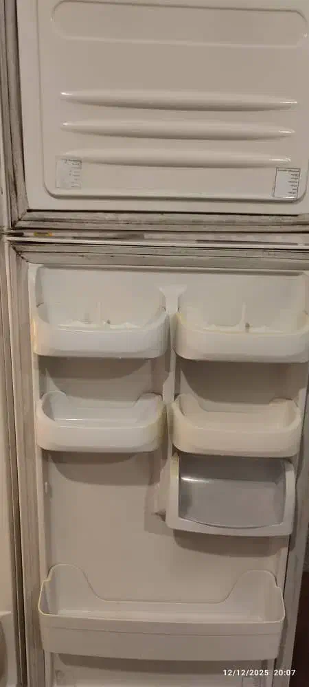 یخچال امرسان|یخچال و فریزر|رشت, کاکتوس|دیوار