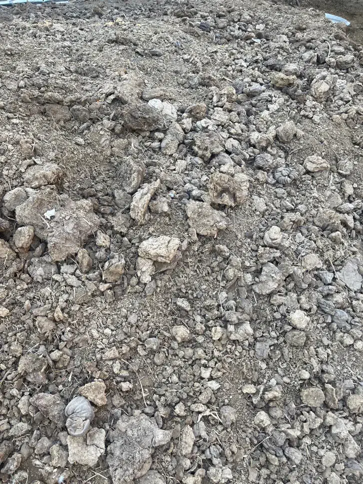 فروش کود گاور|خدمات باغبانی و درختکاری|جیرفت, |دیوار