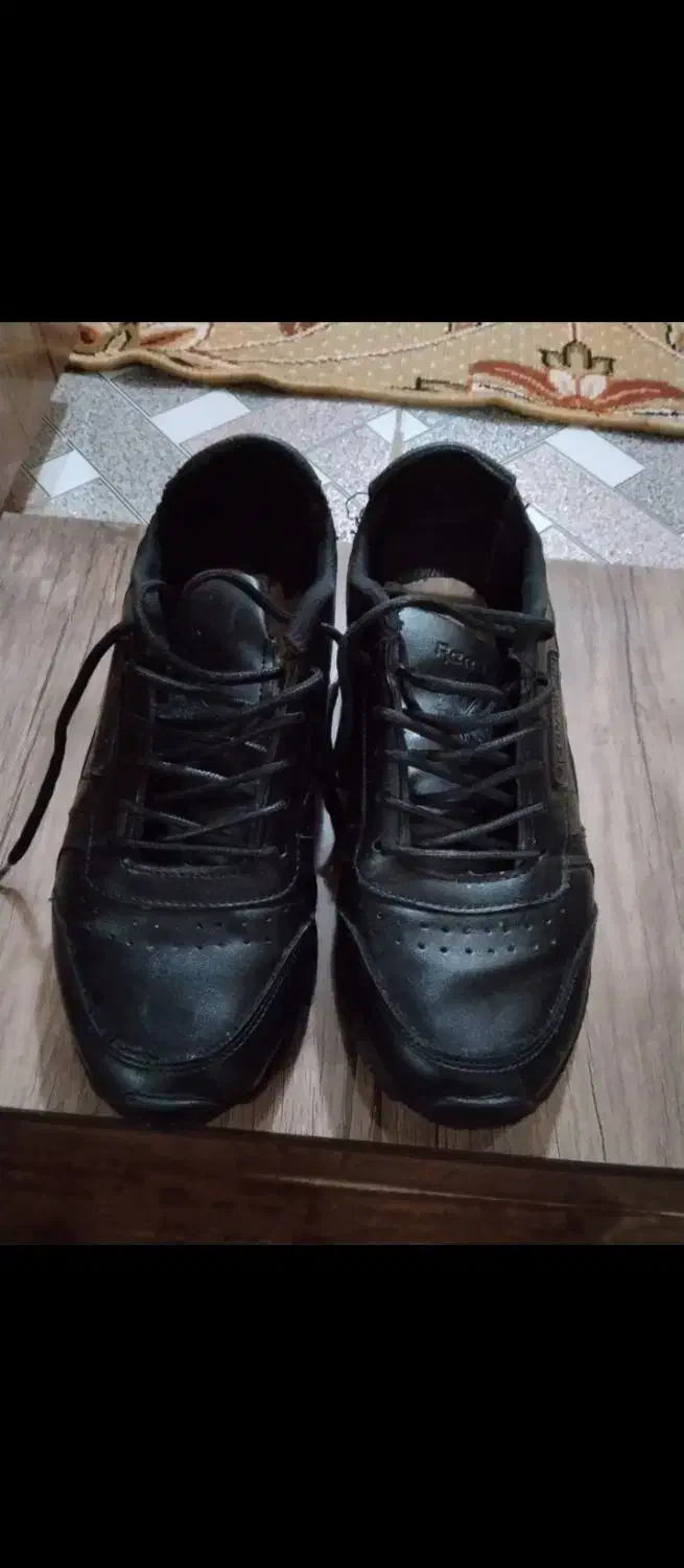 کفش|کیف، کفش، کمربند|صائین قلعه, |دیوار