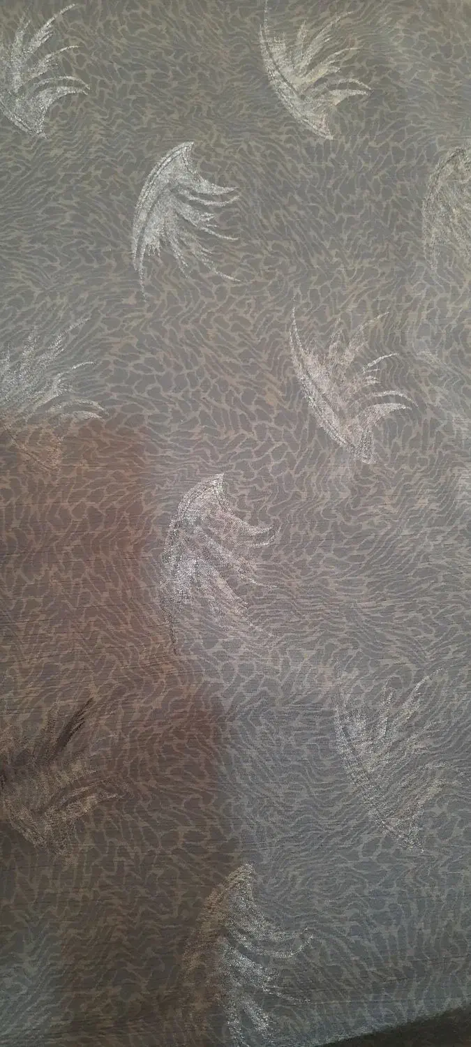 چادر مجلسی|لباس|کرمان, |دیوار