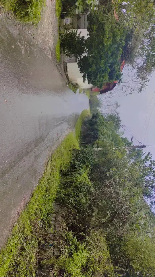 فروشی زمین۲۶۱متر باکاربری مسکونی سند تک برگ|فروش زمین و ملک کلنگی|کلاچای, |دیوار