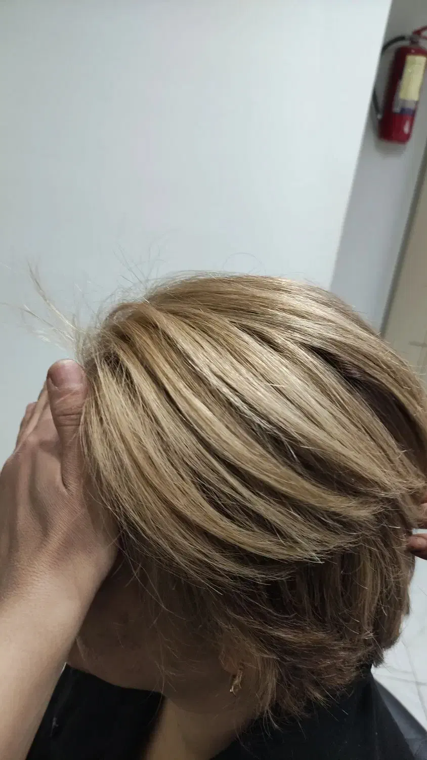 رنگ مو|خدمات آرایشگری و زیبایی|سبزوار, عظیمیان|دیوار