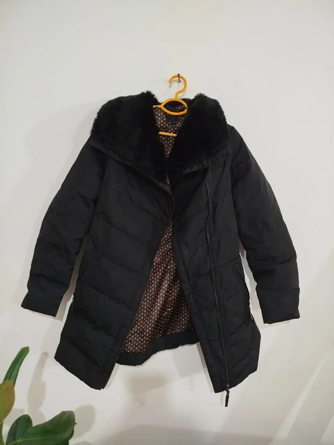 پالتو و کاپشن|لباس|مرند, |دیوار