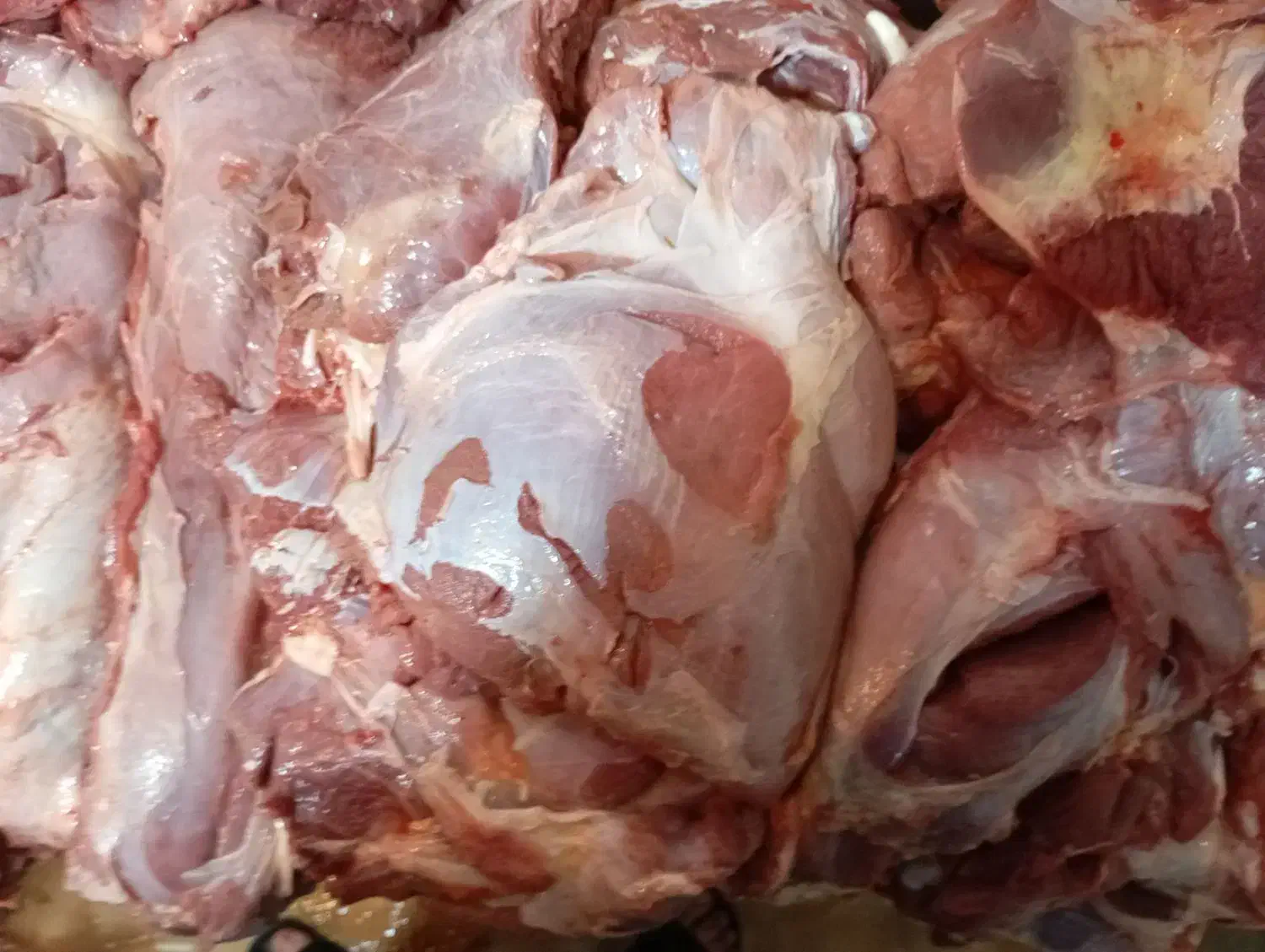 گوشت گوساله|عمدهفروشی|ری, منصوریه منگل|دیوار