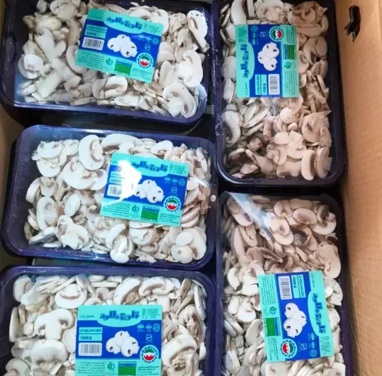پخش قارچ فله اسلایس سوخاری و بسته بندی|خوردنی و آشامیدنی|تهران, نازیآباد|دیوار