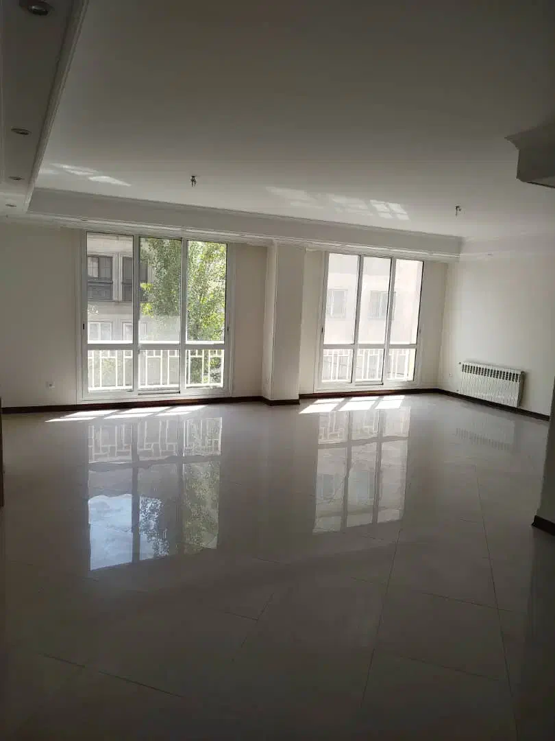 ۱۶۰ متر سه خواب ویو ابدی شیراز شمالی|فروش آپارتمان|تهران, ونک|دیوار