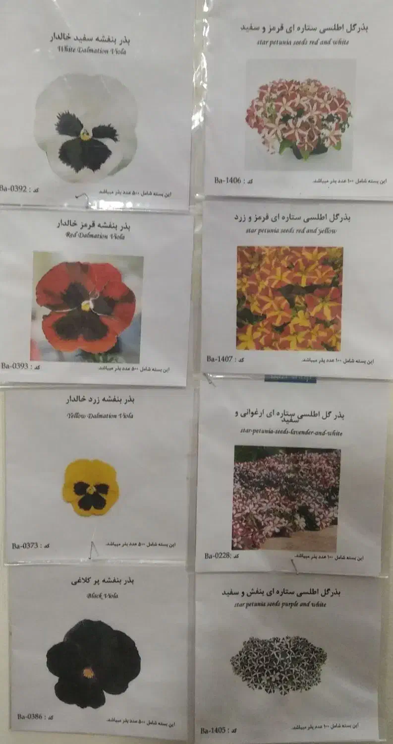 بذر گل|گل و گیاه طبیعی|سمنان, |دیوار