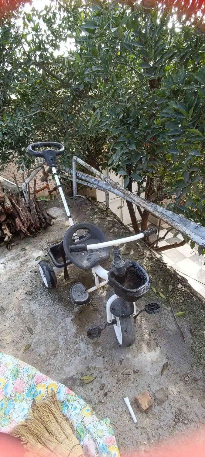 دوچرخه|دوچرخه، اسکیت، اسکوتر|گنبد کاووس, |دیوار