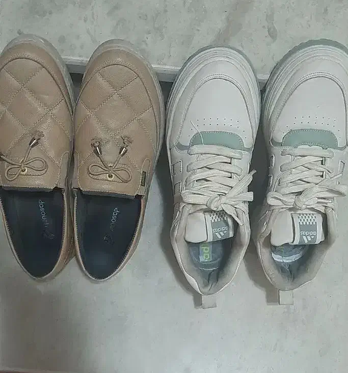 کفش طبی و اسپرت|کیف، کفش، کمربند|فلاورجان, |دیوار