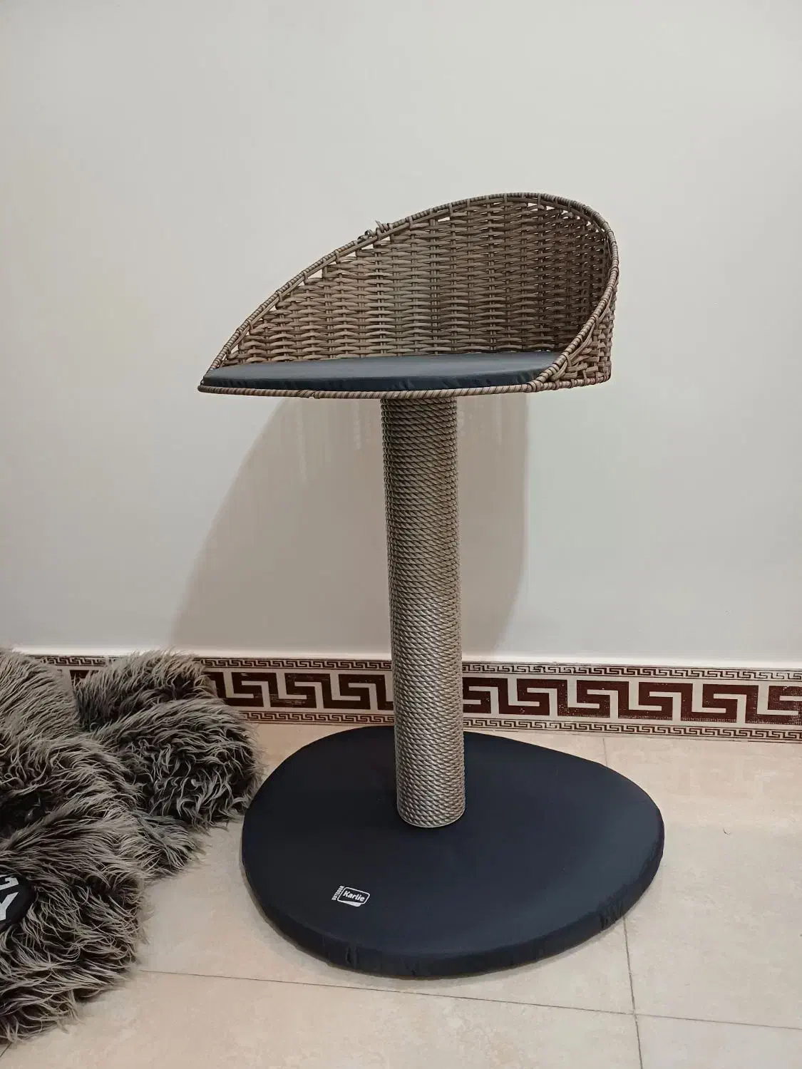 پت شاپ|لوازم جانبی حیوانات|شیراز, معالی‌آباد|دیوار