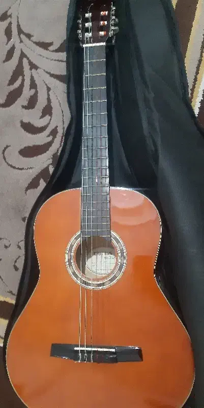 گیتار کلاریس ccg 100|گیتار، بیس، امپلیفایر|رشت, کوی بیانی|دیوار