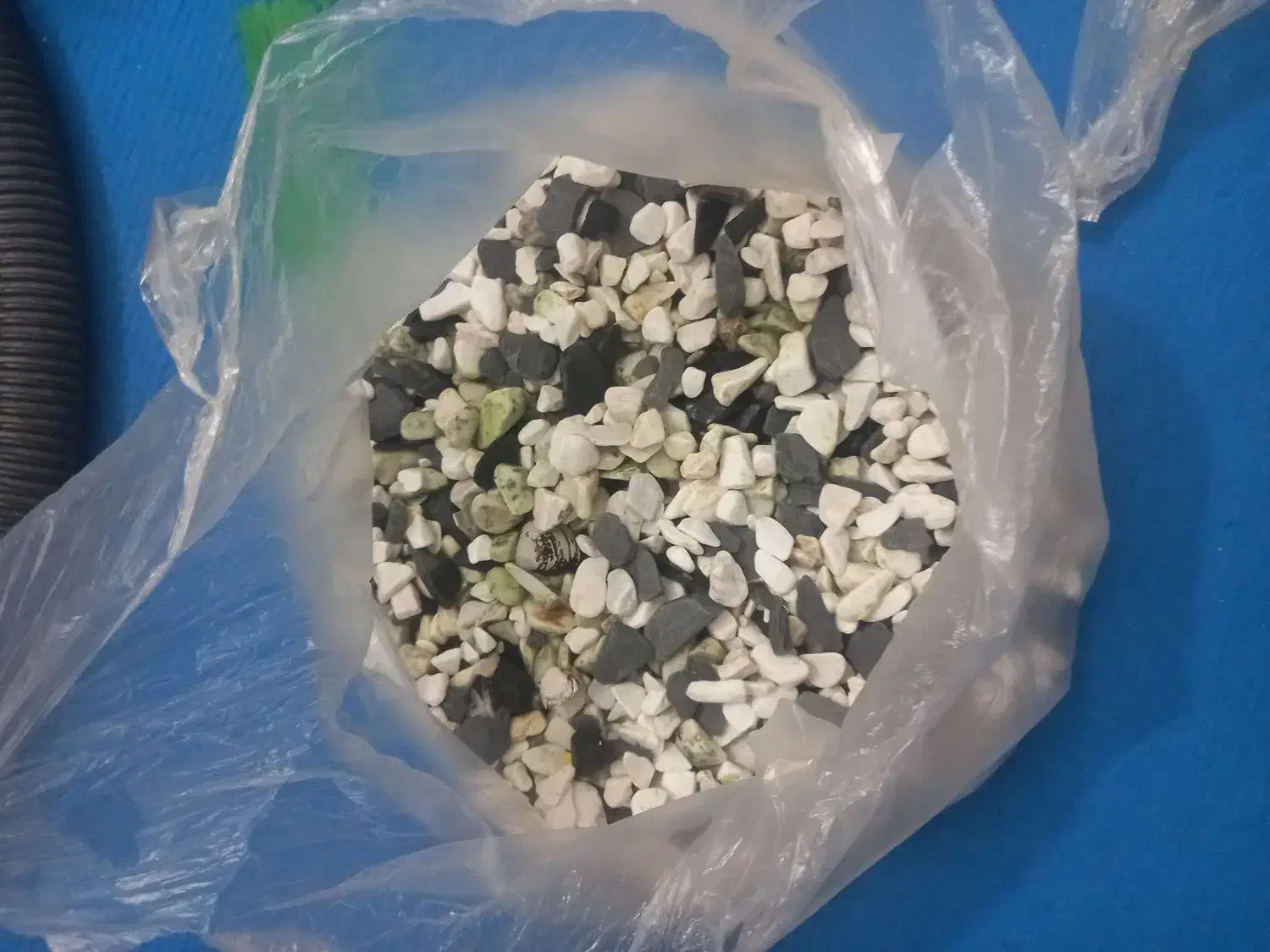 آکواریوم و اکسیژن ساز|ماهی|زابل, |دیوار