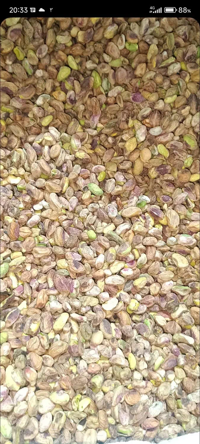 فروش خرید مغز دستگاهی دستشکن|خوردنی و آشامیدنی|زرند, |دیوار