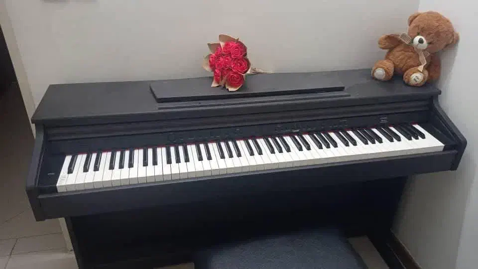 پیانو|پیانو، کیبورد، آکاردئون|زنجان, |دیوار