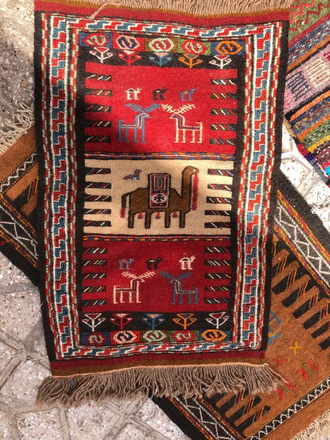 انواع پادری|گلیم، جاجیم، گبه|بجنورد, |دیوار