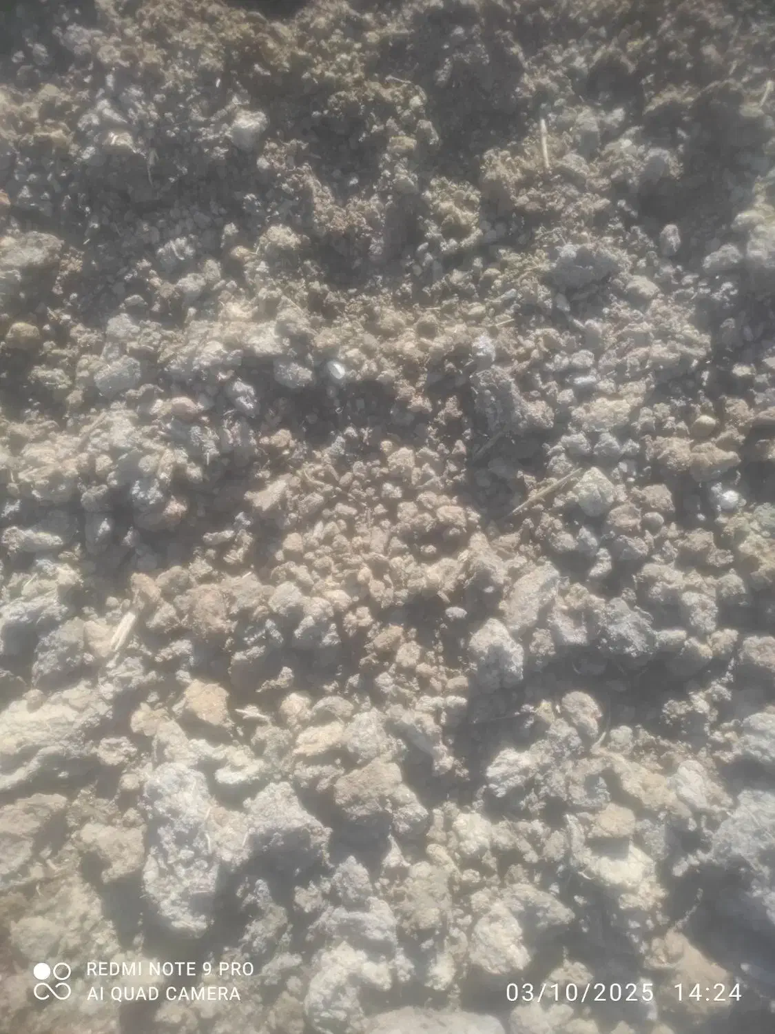 کود کمپوست هوموس|گل و گیاه طبیعی|تهران, زنجان جنوبی|دیوار