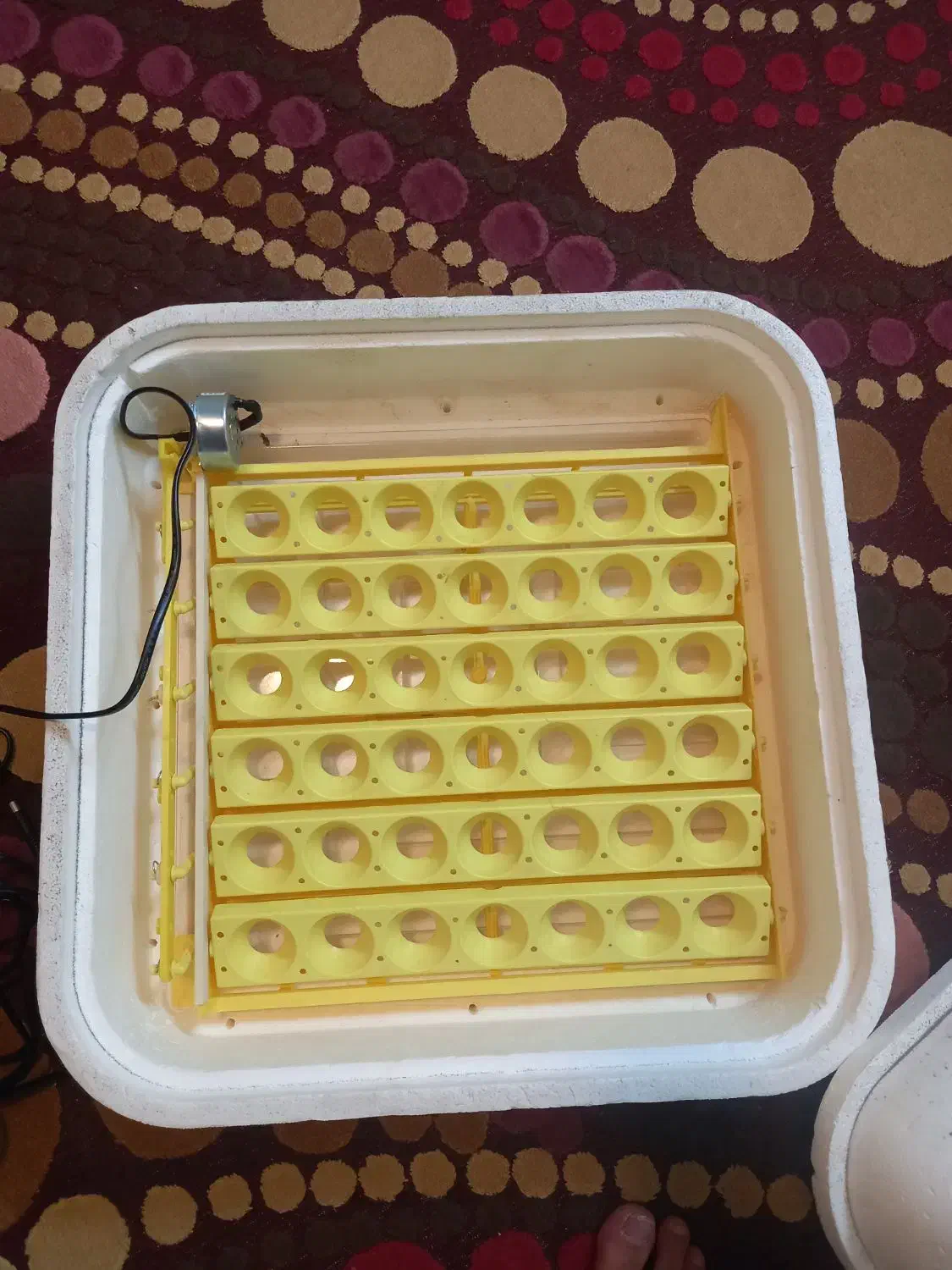 دستگاه جوجه کشی ۴۲|لوازم جانبی حیوانات|تهران, قصر فیروزه ۱|دیوار