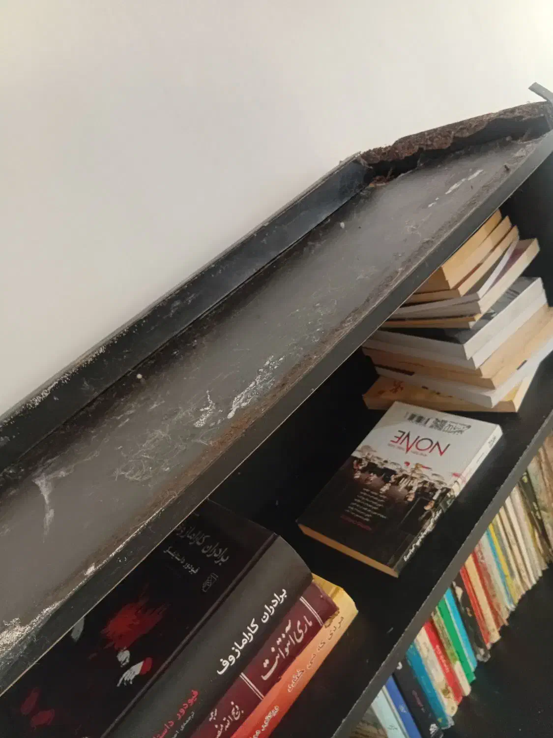 کتابخانه|کتابخانه، شلف، قفسههای دیواری|صدرا-فارس, فاز ۱|دیوار