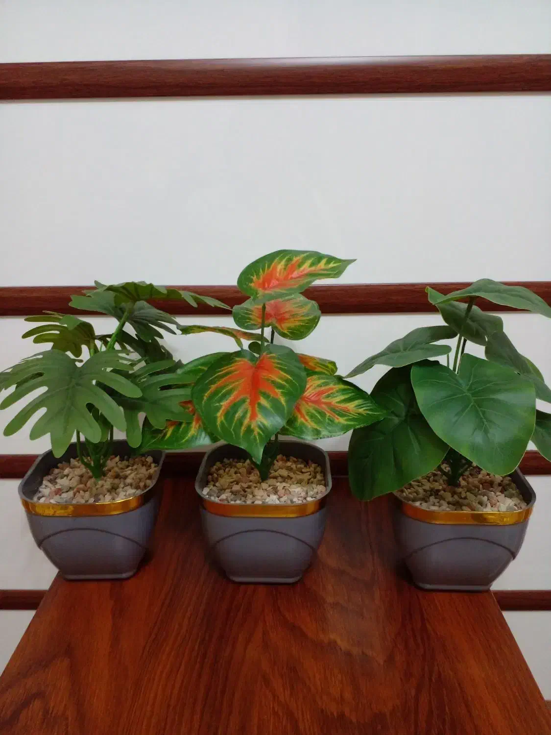 گل مصنوعی، گلدان، تزیینی، گیاه باکسی|گل مصنوعی|تهران, اسفندیاری|دیوار