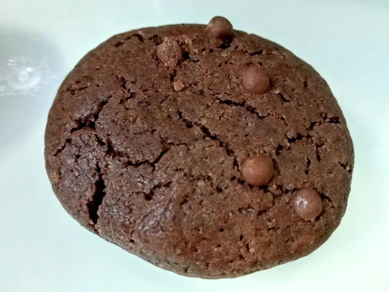 انواع کوکی با هرطعم|خوردنی و آشامیدنی|ری, جوانمرد قصاب|دیوار