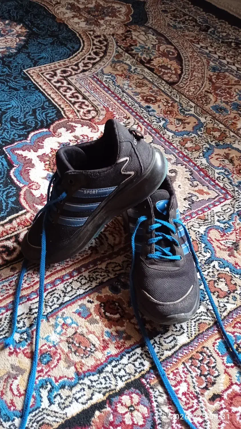 کفش پسرانه|کیف، کفش، کمربند|سبزوار, جهاد کشاورزی|دیوار