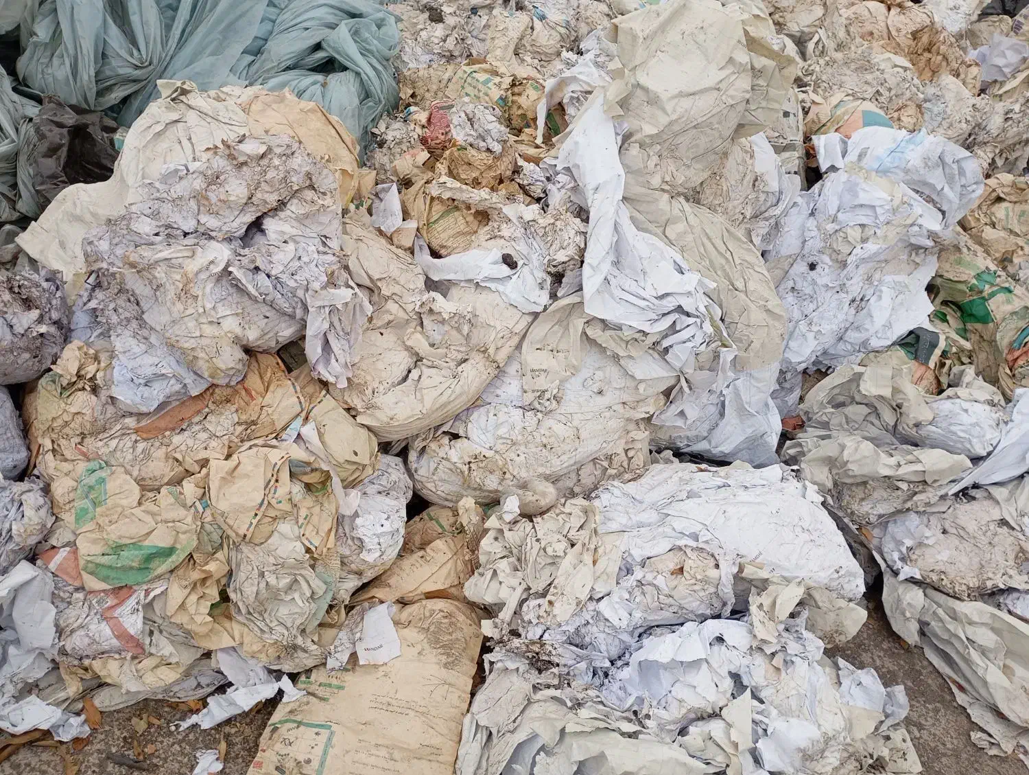 فروش نایلون و کاغذ و کارتون تولید قارچ|ظروف نگهدارنده، پلاستیکی، یکبارمصرف|نظرآباد, شهرک سید جمال الدین|دیوار