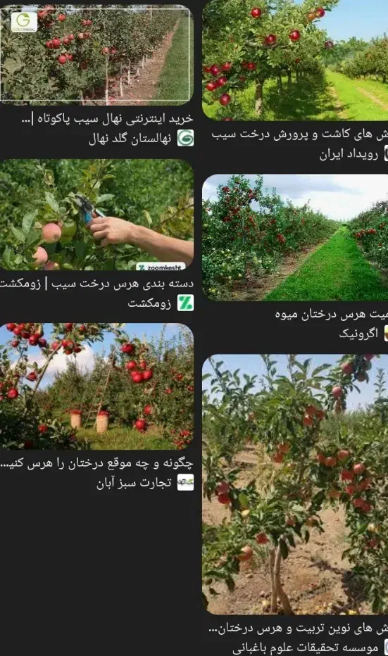 هرس انوع درخت میوه|خدمات باغبانی و درختکاری|فیرورق, |دیوار