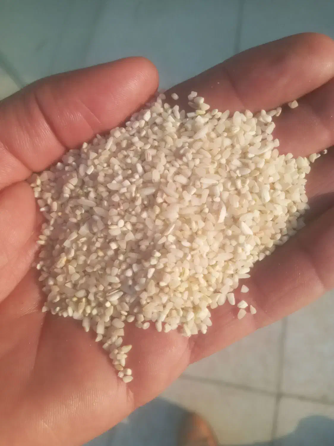 برنج نیم دانه|خوردنی و آشامیدنی|دورود, |دیوار