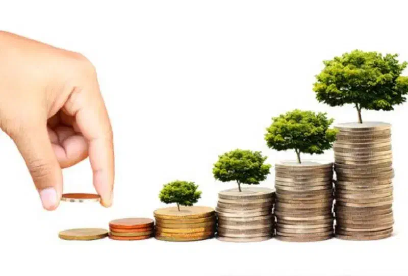 سرمایه گذار میخوام|فعالیت داوطلبانه|یزد, |دیوار