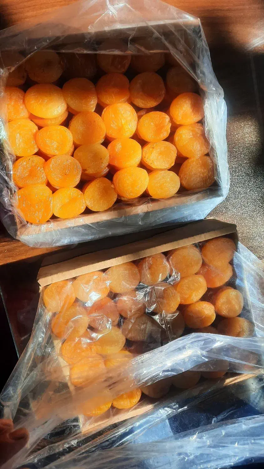 قیسی فوق ممتاز درجه یک کیلویی ۶۰۰هزار تومان|خوردنی و آشامیدنی|ری, امین آباد|دیوار