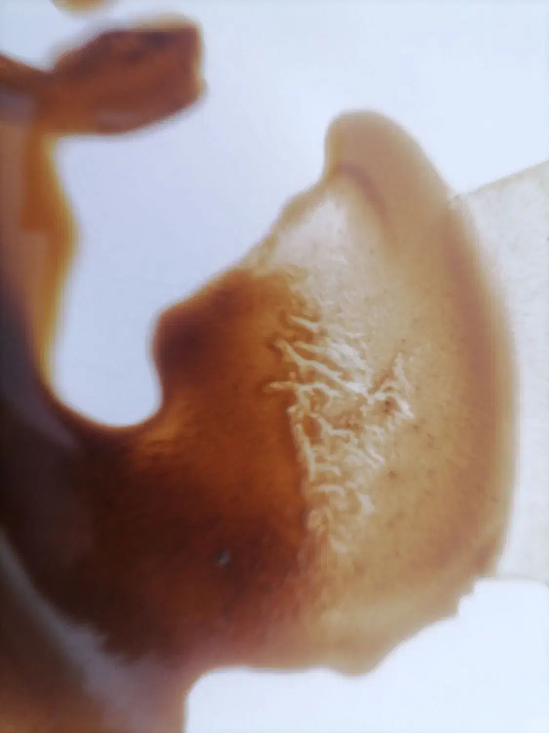 فال قهوه تاروت دعاهای رحمانی|خدمات پذیرایی، مراسم|مشهد, آزادشهر|دیوار