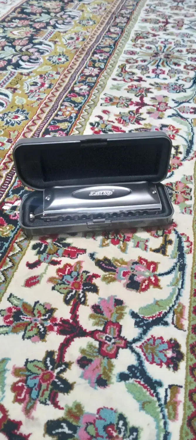 ساز دهنی ساز بادی در حد آکبند قیمت توافقی|سازهای بادی|مشهد, شهرک شهید باهنر|دیوار